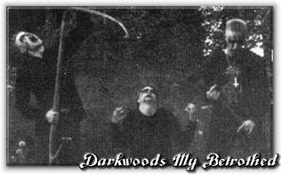 Darkwoods My Betrothed